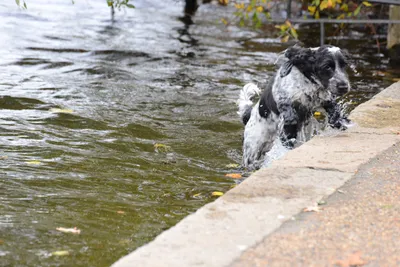 DSC_0530 (Large).JPG